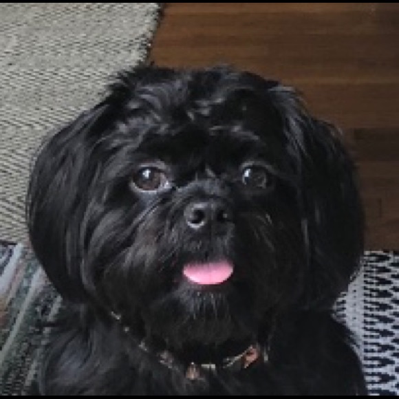 HELLO! I’m Parker & I live in ATL, GA. - Picture 3 of 3